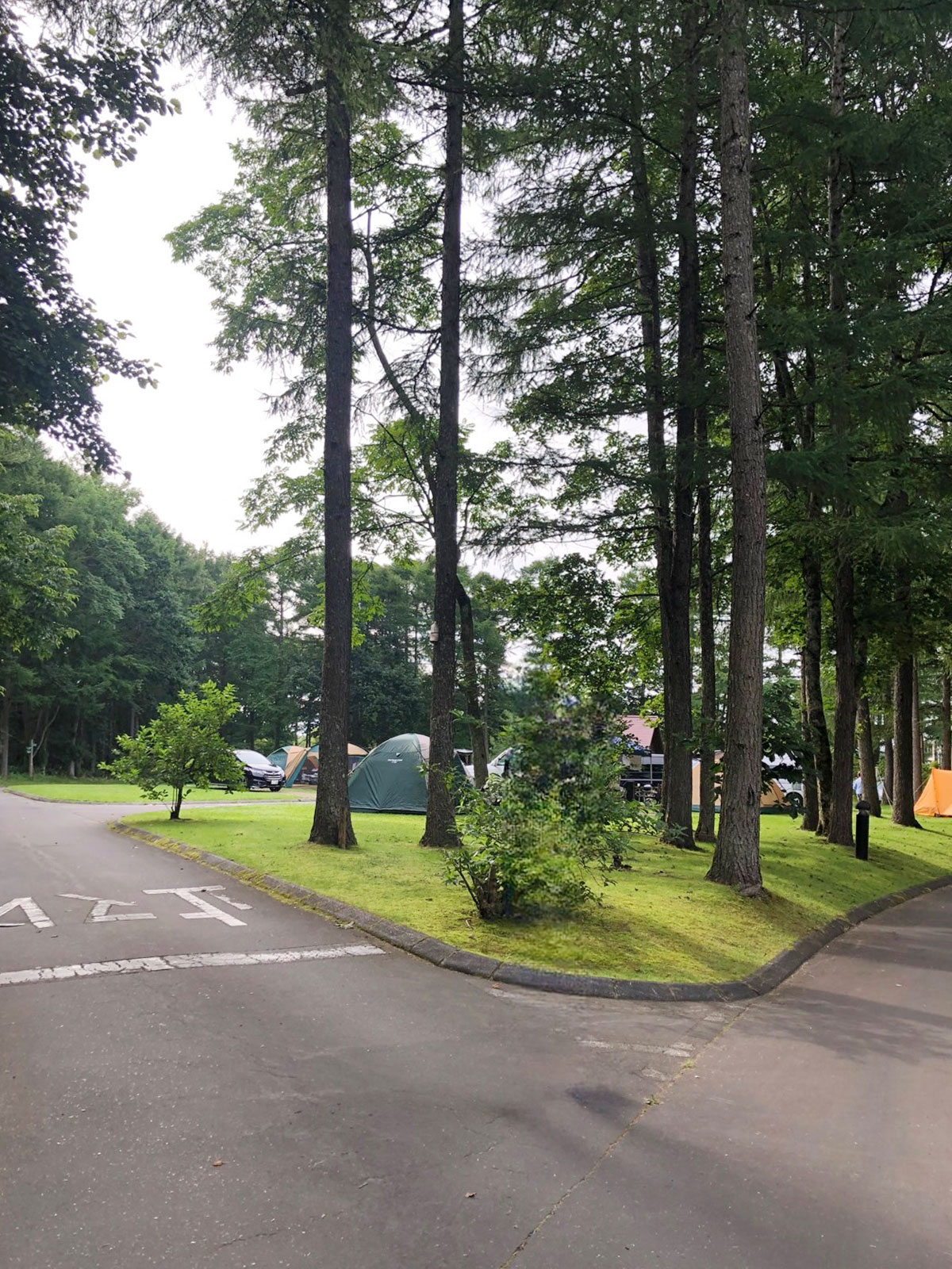 CAMP HOLIC SEASON TOPICS VOL.01_93.jpg